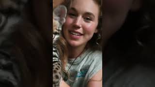 Wildcat - Official Trailer Prime Video