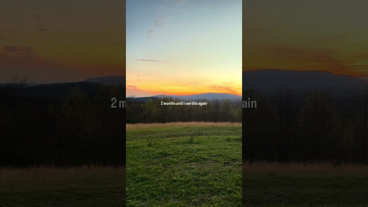 Everything really is sunshine and rainbows... 🙌