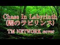 【GUMI】Chase In Labyrinth (闇のラビリンス)) TM NETWORK cover