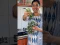 How to preserve curry leaves for long time /kitchen tips and tricks/easy kitchen tips