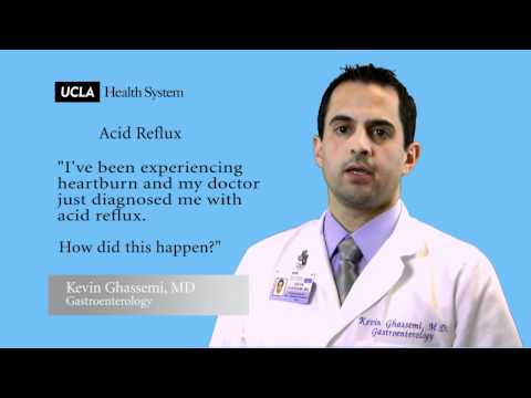 Video: Acid Reflux Katika Paka