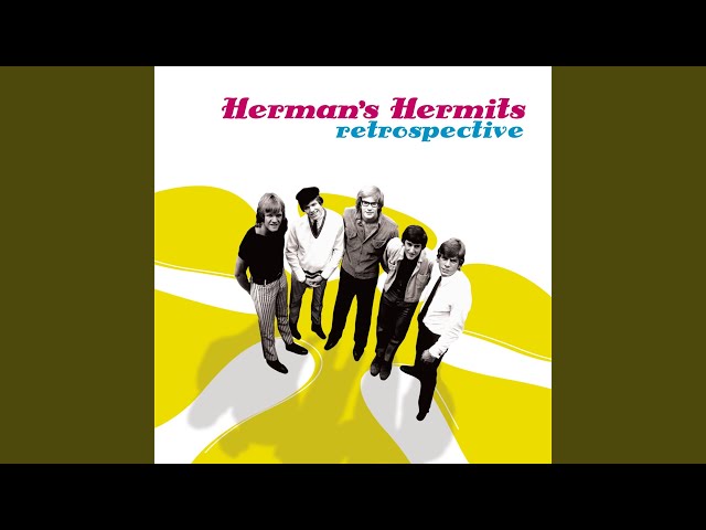 Hermans Hermits - Wonderful World