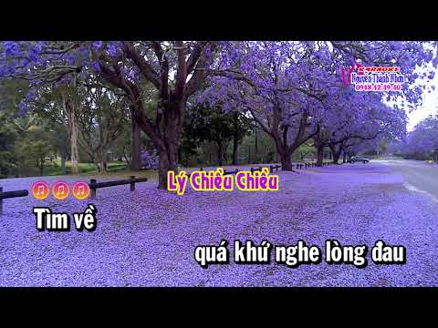 Karaoke vọng cổ BỖNG DƯNG MUỐN KHÓC - ĐÀO [T/g Lý Bông Bừa]