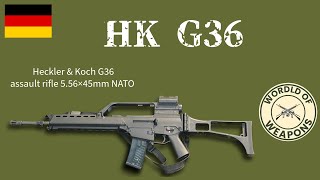 G36  Unlocking the Secrets of this Iconic Firearm