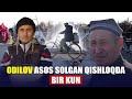 Sholikorlar qishlog‘i – “Obod mahalla”ga aylanmagan Navbahor | Namangan