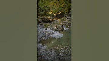 آيات بينات من سورة الزمر بصوت رائع ومأثر ❤ #المصحف #اكسبلور #القرآن_الكريم #duet #المغرب