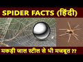 मकड़ी के बारे में कुछ रोचक जानकारी | Some Interesting Information About Spider | Chotu Nai