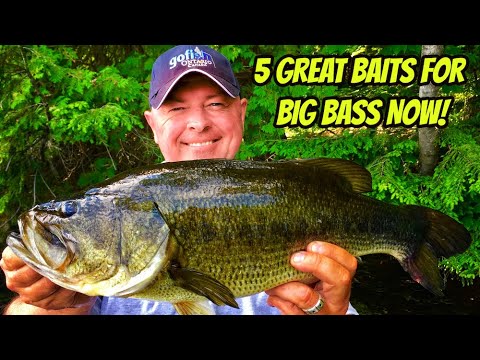 5 GREAT BAITS FOR BASS NOW! - Catching big bass across Northern Ontario 
