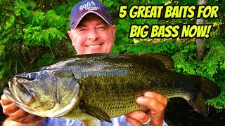 5 GREAT BAITS FOR BASS NOW! - Catching big bass across Northern