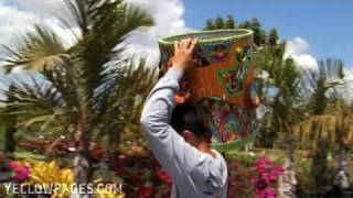 South Florida Plant Nursery Jeny Sod and Nursery