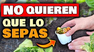 El ABONO CASERO que DEBES SABER HACER | Fertilizante Orgánico para Plantas, Jardin y Huertas Urbanas