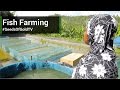 Fish Farming - Seeds Of Gold TV Season 1 Episode 6
