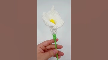 🌹🌹🌹Crochet Calla Lily Flower