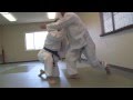 Brazilian jiu jitsu  laver blue belt  rank demonstrations  roydeantv