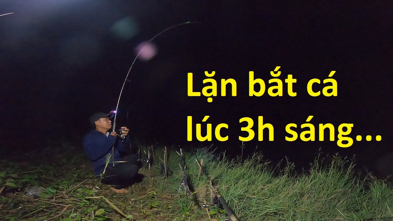 Cần thủ lì lặn bắt cá lúc 3h đêm và cái kết đắng | Câu lăng xê | 23-11-2024