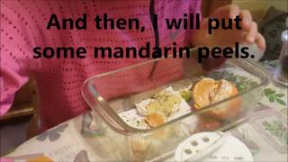Beginner English speaking- cake recipe - fastest way of learning English - fun and funny - learn ne screenshot 5