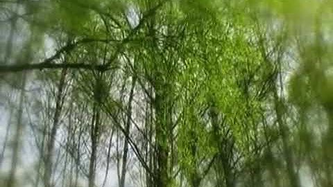 Эдуард Хиль - Подари мне лето