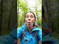 A wild bear attacked the girl, and her phone was destroyed 😱 #fear #discover #wildlife