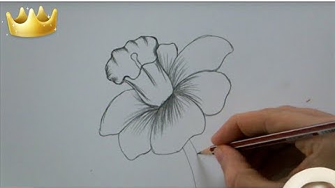 How To Draw a Flower step by step In 6 Minutes!