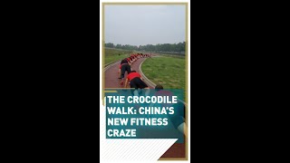 The Crocodile Walk: China's new fitness craze screenshot 2