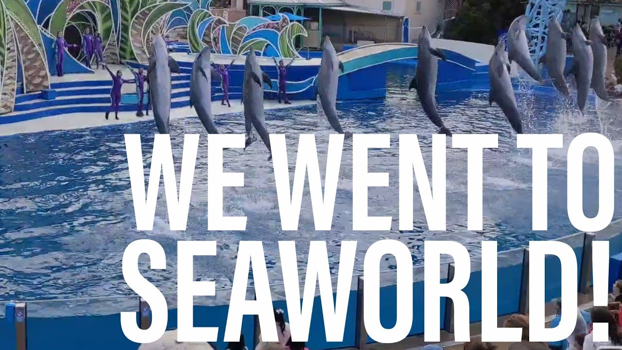 Vlog 22 - We went to Seaworld - YouTube