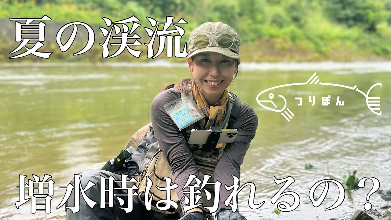 夏の渓流釣り【岐阜】