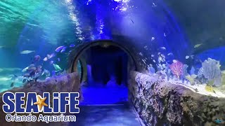 SEA LIFE Orlando Aquarium Full Walkthrough  Reopening Day