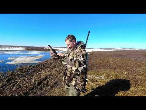 Охота на гусей / закрытие сезона