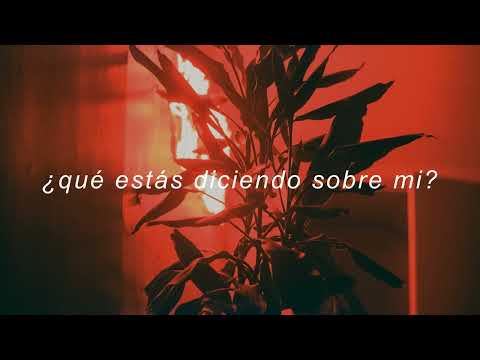 Dennis Lloyd Playa Say That Espa Ol 
