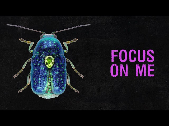 Rico Nasty - Focus On Me (Official Audio)