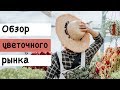 Обзор цветочного рынка в Краснодаре