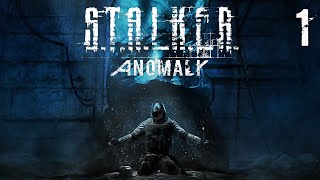 ☣️DayZ Anomaly Обзор Anomaly S.T.A.L.K.E.R.PVE-2☣️