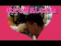 165.　飼い主と仲良しトイプードル？(-_-;)