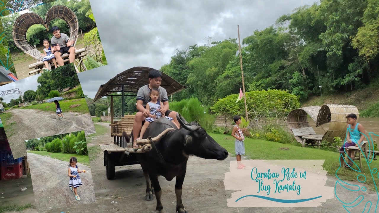 Carabao ride in Ilug Kamalig Team JAG - YouTube