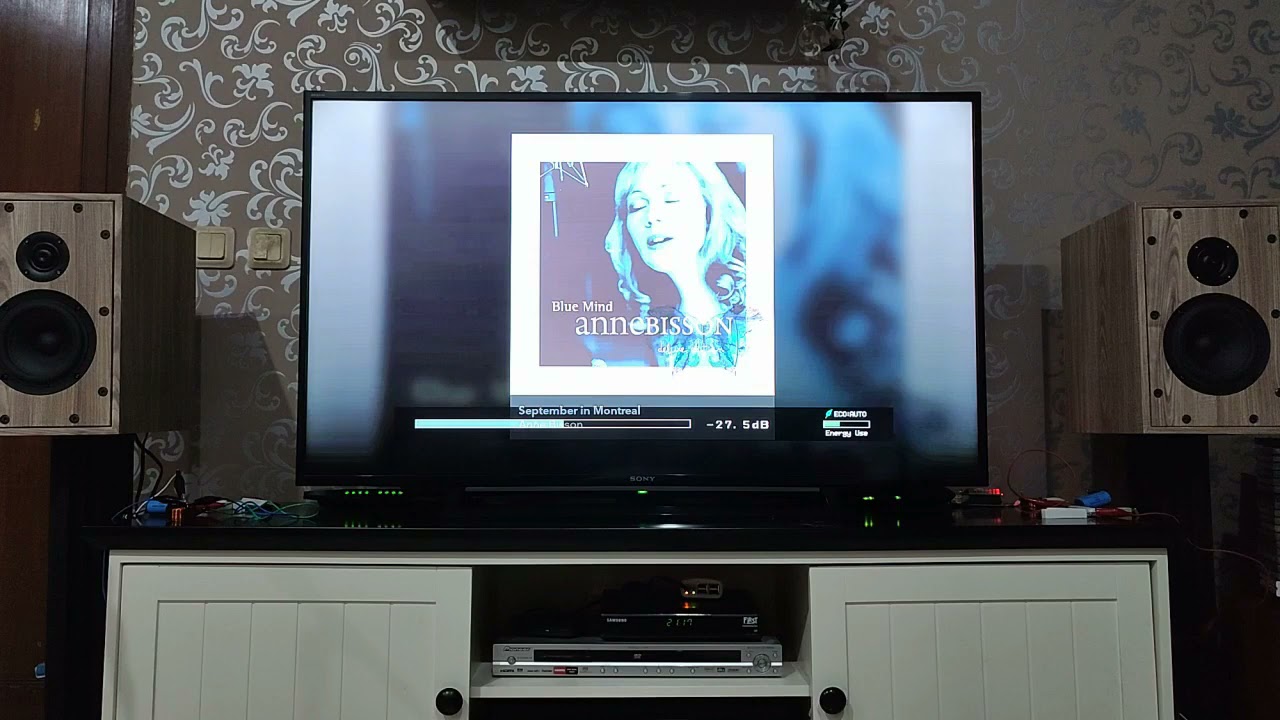 DIY Bookshelf Speaker. Stella #2. SB 29 RDNC tweeter and SB 15 NRX woofer.