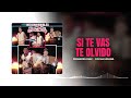 Si te vas te olvido /// Diomedes Diaz & Cocha Molina