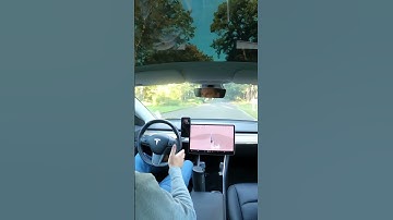 Is Tesla self driving capable of working on unmarked roads with cars and people walking? ￼