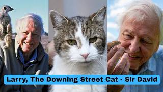 Larry, The Downing Street Cat - Sir David Attenborough