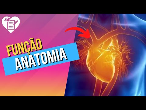 Vídeo: Imagens, Diagrama E Anatomia Do Coração - Mapas Do Corpo