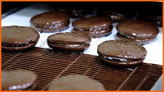 국민간식 초코파이! 하루 5000개 만드는 초코파이 공장 / How to make Korean Chocolate Cake(Choco Pie) / korean street food