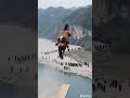 Experts among the people, content inspiration search, originality, rural life, boo absurd video