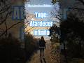 Yuge: Atardecer Infinito|#shorts #japon