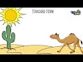 Place Value and Number Forms Quiz