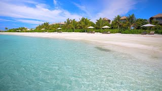 🏝 Turquoise Shoals: The Most Relaxing Waves in The World
