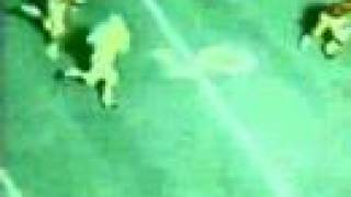 1971 Bama vs USC - Musso TD