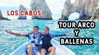 LOS CABOS, TOUR ARCO Y BALLENAS 🔴 que hacer en los Cabos en 1 día, PRECIOS ECONÓMICOS ✅ 4K by Aventuras MyM 483 views 5 months ago 12 minutes, 31 seconds