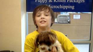 MuttShack Burbank Pet AdoptionsSophie.MPG