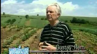 Vesničko má rozkradená