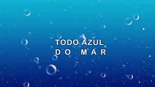 Video thumbnail of "FLÁVIO VENTURINI / TODO AZUL DO MAR / LETRA / LEGENDA"