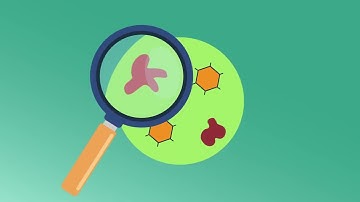 Targeted Therapy 101: The Basics Explained